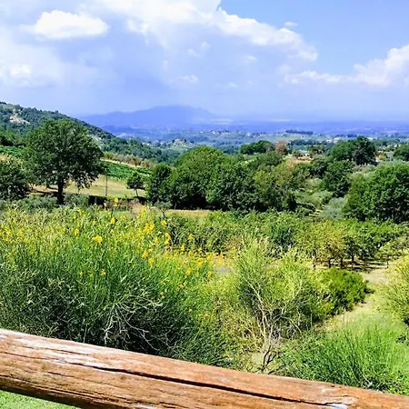 Appartamento Caprareccia Bianca